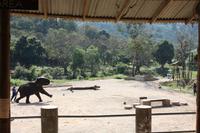 307 es wird Fußball gespielt