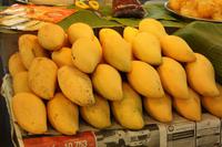 331 köstliche Mangos