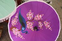 345 wunderschöne Schirmmotive