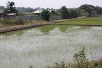 411 hier überwintern unsere Störche