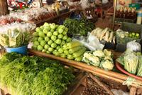 418 frisches Gemüse am Wegesrand