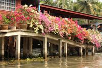 477 Bootsfahrt zu den Schwimmenden Märkten