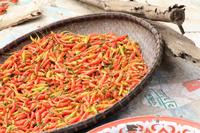 Trocknung von Paprika