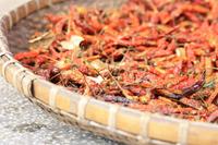 Trocknung von Paprika