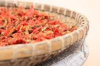 Trocknung von Paprika