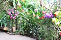 Orchideenfarm
