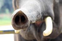 Lieblingsfoto der Reisebegleiterin Astrid :-)