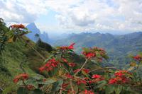 nordöstliches Hochland von Laos