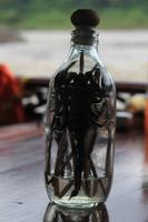 Skorpionsschnaps zum Bergfest