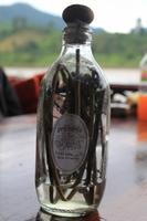 Skorpionsschnaps zum Bergfest