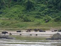 Fahrt auf dem Mekong