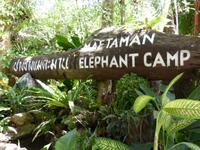 Elefantencamp Maetaman