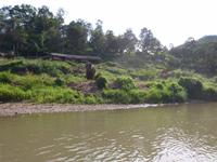 Fluss-leben