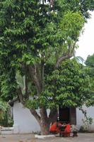 Luang Prabang