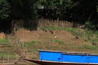 Mekongfahrt