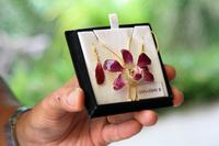 Orchideenfarm