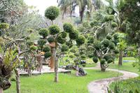 Orchideenfarm