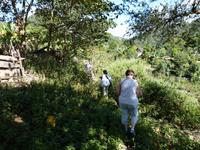 im Dorf zu Gast