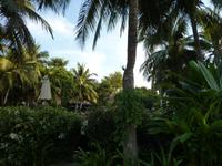 Royal River Kwai Resort