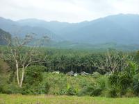 Khao Sok Nationalpark