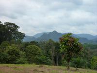 Khao Sok Nationalpark