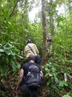 Wanderung im Khao Sok NP
