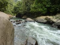 Wanderung im Khao Sok NP