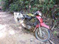 Wanderung zur Coral Cave