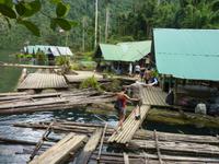 Wanderung zur Coral Cave