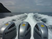 zu den Phi Phi Islands