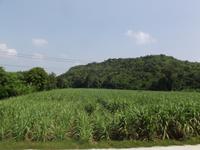 Fahrt mit der Todeseisenbahn