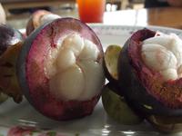 Mangosteen