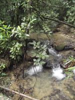 Khao Sok-Nationalpark