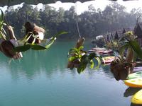 Unser Hotel auf dem Cheow Lan Lake