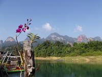 Unser Hotel auf dem Cheow Lan Lake