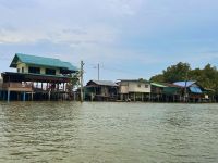 Khone Klone - Bootstour Mangrovensumpf