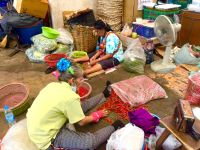 Bangkok - Flower Market