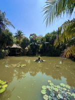 Thailand - Chainat Restaurant-Oase