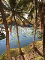 Thailand - Hotel Pattara Resort & Spa