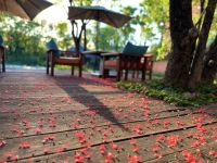 Thailand - Hotel Pattara Resort & Spa