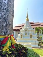 Chiang Mai - Wat Chedi Luang