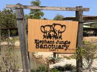 Chiang Mai - Elephant Jungle Sanctuary