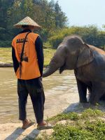 Chiang Mai - Elephant Jungle Sanctuary