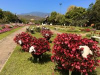 Chiang Mai - Royal Park Rajapruek