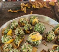 Medizinbälle für die Elefanten