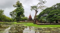 Tempel Parklanlage - Kamphaeng Phet