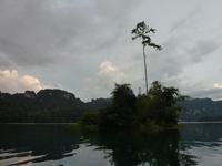 Abendsafari