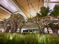 Bangkok - Flughafen 