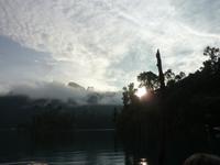 Morgensafari