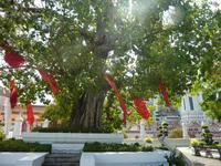 Wat Arun
